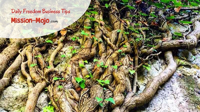 Motivation Mojo Tip 22 – Sign Up To An Interesting Podcast