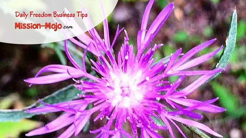 Mission Mojo Digital Business Tips – 70